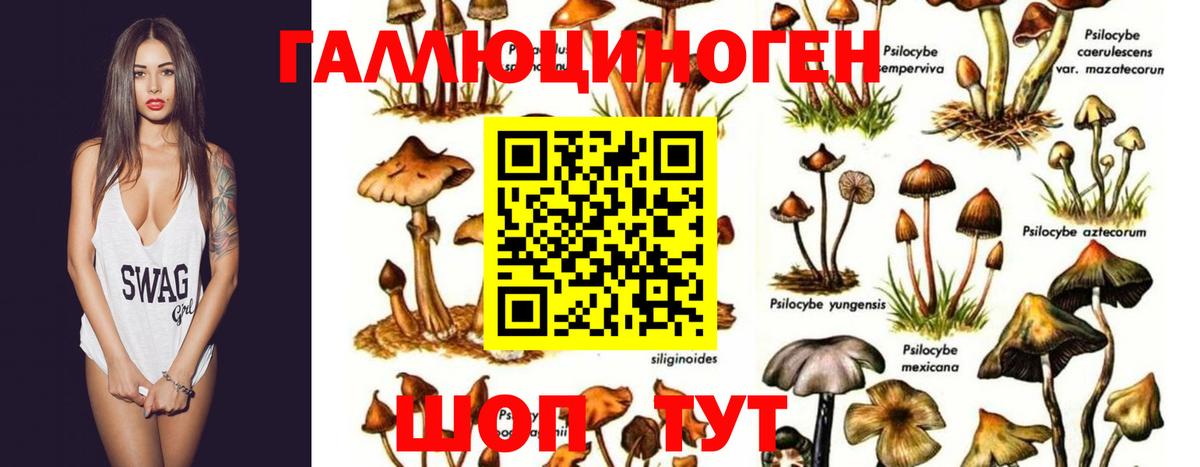 Меф Москва